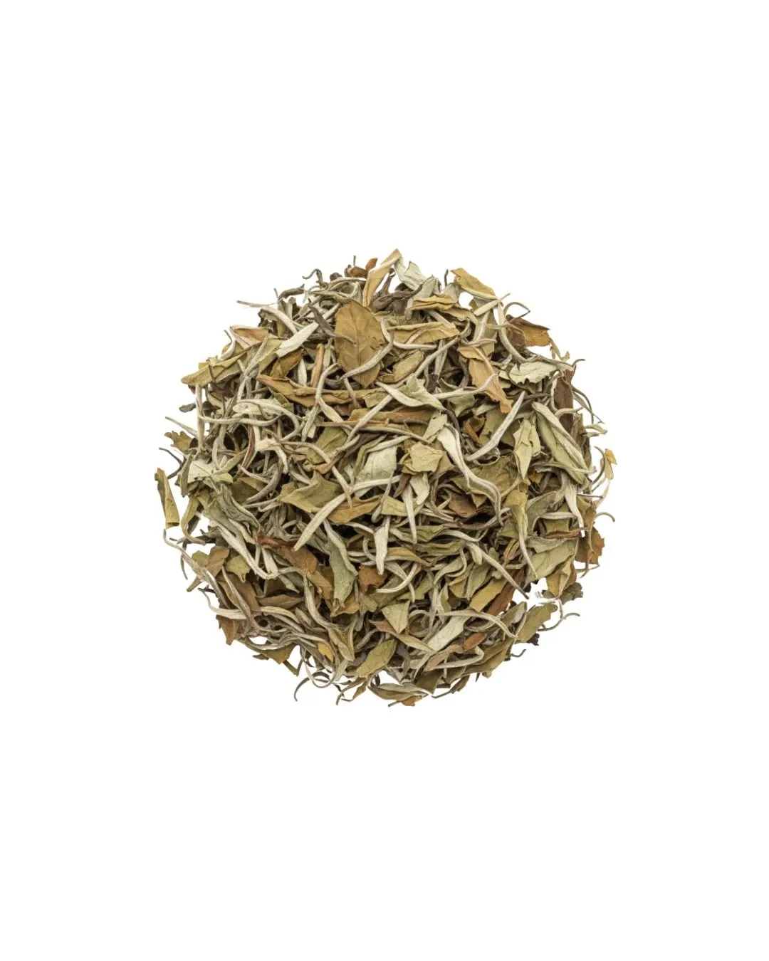 Silver Moonlight Bio – Thé blanc, cueillette de pleine lune riche en bourgeons - Bio