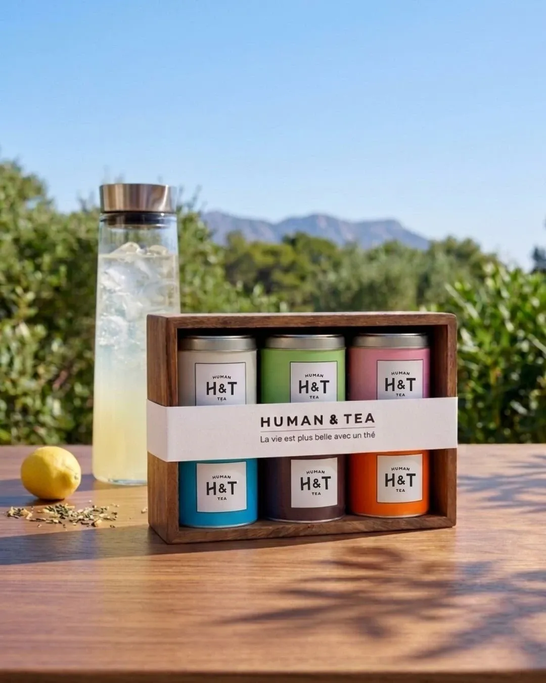 Coffret thés glacés – 6 couleurs| Infusion à froid – Coffret découverte thés glacés — 6 thés et infusions à infuser à froid