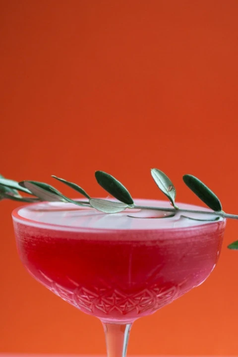 Cocktail estival au Rooibos et fruits rouges
